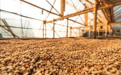 Armazenagem de grãos: como estruturar e verticalizar o armazém